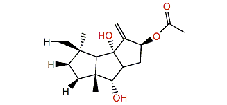 8b-Acetoxy-9(12)-capnellene-5a,10a-diol