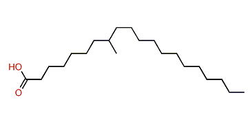 8-Methyleicosanoic acid
