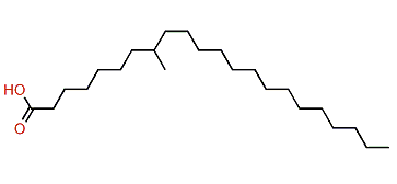 8-Methyldocosanoic acid