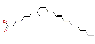 8-Methyl-13-docosenoic acid