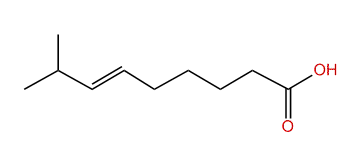 8-Methyl-6-nonenoic acid