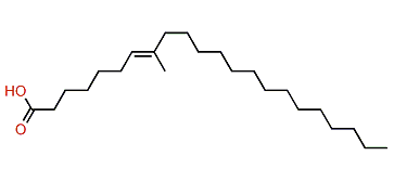 8-Methyl-7-docosenoic acid