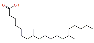 8,14-Dimethylnonadecanoic acid