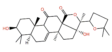 9,11-Dihydro-22,25-oxido-11-oxoholothurinogenin