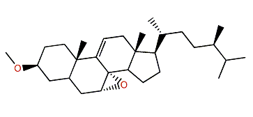 9,11-Epoxy-3-methoxyergost-7-ene