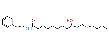 N-(2-Phenylethyl)-9-hydroxyhexadecacarboxamide