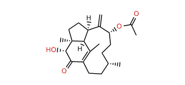 9a-Acetoxy-3a-hydroxy-1(15),8(19)-trinervitadien-2-one