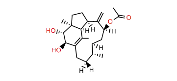 9b-Acetoxy-2b,3a-dihydroxy-trinervita-1(15),8(19)-diene