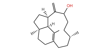 9b-Hydroxy-1(15),8(19)-trinervitadiene