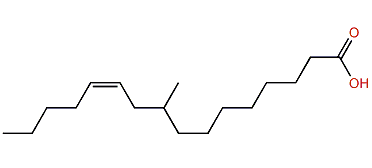 (Z)-9-Methyl-11-hexadecenoic acid