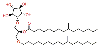 9-Methylpentadecanoylcrasseride