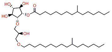 9-Methylpentadecanoylisocrasseride