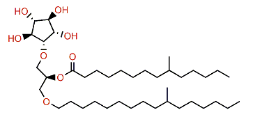 9-Methyltetradecanoylcrasseride