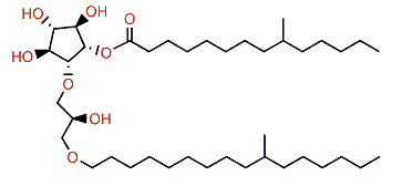9-Methyltetradecanoylisocrasseride
