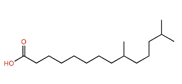 9,13-Dimethyltetradecanoic acid
