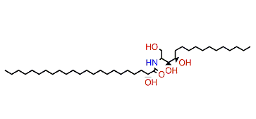 (2R,3S,4R)-(2R)-2-Hydroxy-N-(1,3,4-trihydroxyhexadecan-2-yl)-tricosanamide