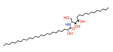 (2R,3S,4R)-(2R)-2-Hydroxy-N-(1,3,4-trihydroxyhexadecan-2-yl)-tetracosanamide