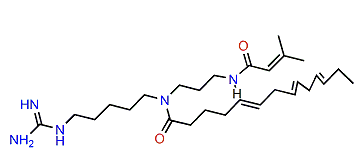 C14.3-Acarnidine