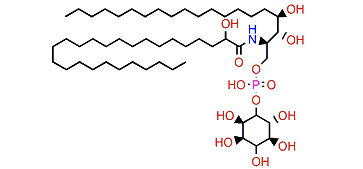 Ceramidephosphorylinositol