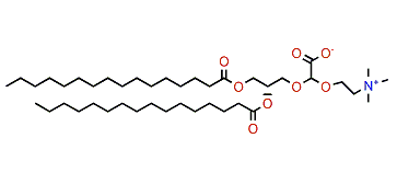 1,2-Diacylglyceryl-3-(O-carboxyhydroxymethylcholin)