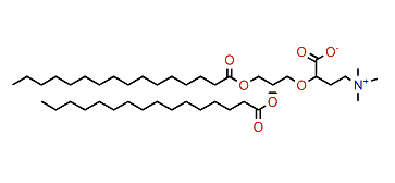 1,2-Diacylglyceryl-O-2'-(hydroxymethyl)-(N,N,N-trimethyl)-b-alanine