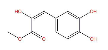 (E)-Methyl 2-hydroxy-3-(3,4-dihydroxyphenyl)-acrylate