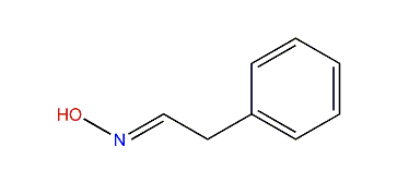 (E)-Phenylacetaldehyde oxime