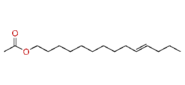(E)-10-Tetradecenyl acetate