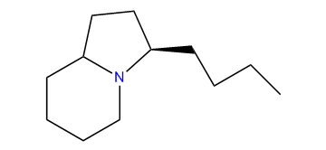 (10E)-3-butyllehmizidine