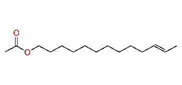 (E)-11-Tridecenyl acetate