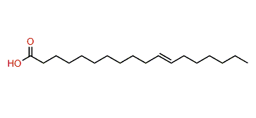 (E)-11-Octadecenoic acid