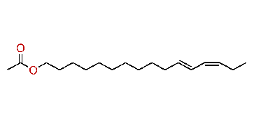 (E,Z)-11,13-Hexadecadienyl acetate