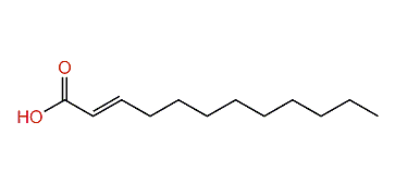 (E)-2-Dodecenoic acid