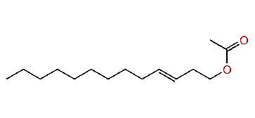 (E)-3-Tridecenyl acetate