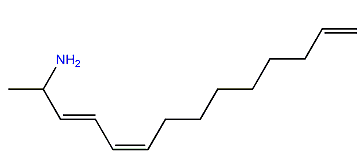 (3E,5Z)-3,5,13-Tetradecatrien-2-amine