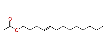 (E)-4-Tridecenyl acetate
