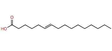 (E)-6-Hexadecenoic acid
