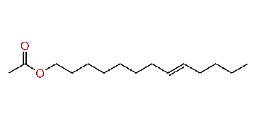 (E)-8-Tridecenyl acetate