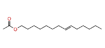 (E)-8-Tetradecenyl acetate