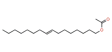 (E)-8-Hexadecenyl acetate