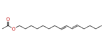 (E,E)-8,10-Pentadecadienyl acetate