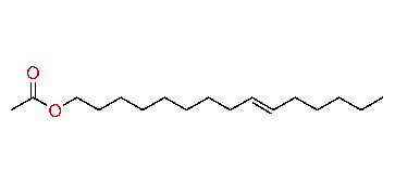 (E)-9-Pentadecenyl acetate