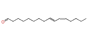 (E,Z)-9,11-Hexadecadienal