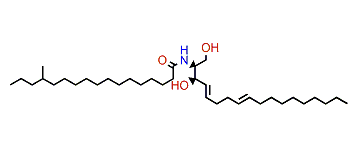N-((2S,3R,4E,8E)-1,3-Dihydroxyoctadeca-4,8-dien-2-yl)-14-methylheptadecanamide