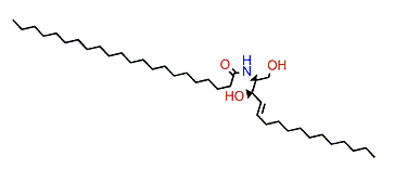 N-((E,2S,3R)-1,3-Dihydroxyhexadec-4-en-2-yl)-docosanamide