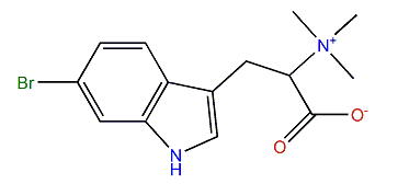 L-6-Bromohypaphorine