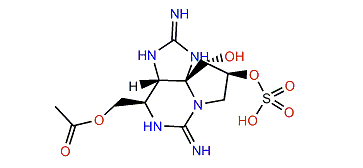 13-O-Acetyl-12beta-deoxydecarbamoylsaxitoxin-11beta-O-sulfate