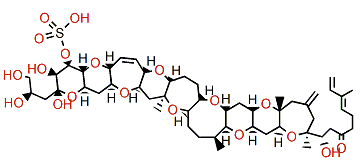 44-Methylgambierone