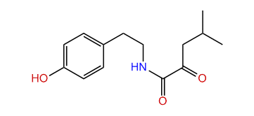 N-(4-Hydroxyphenethyl)-4-methyl-2-oxopentanamide