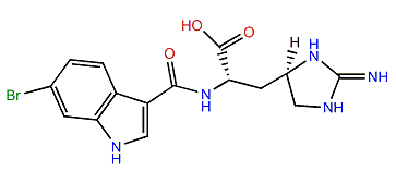 N-(6-Bromo-1H-indolyl-3-carbonyl)-L-enduracididine